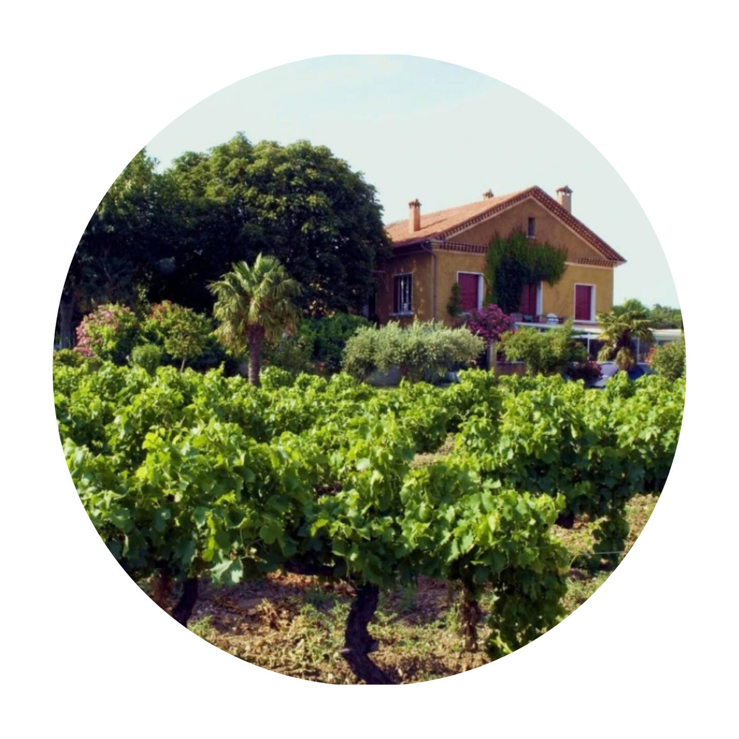 develope-online-activity