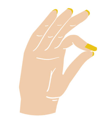 Create your own program for sale